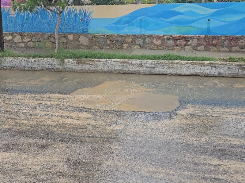 Ciudadanos piden se atienda problema de baches en calle Álvaro Obregón