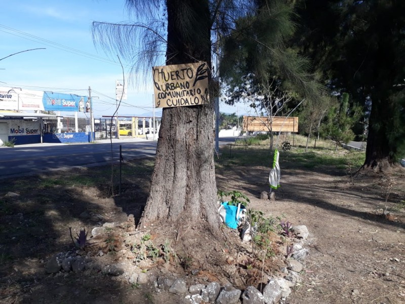 Ciudadanos proponen convertir parque lineal en huerto ecológico