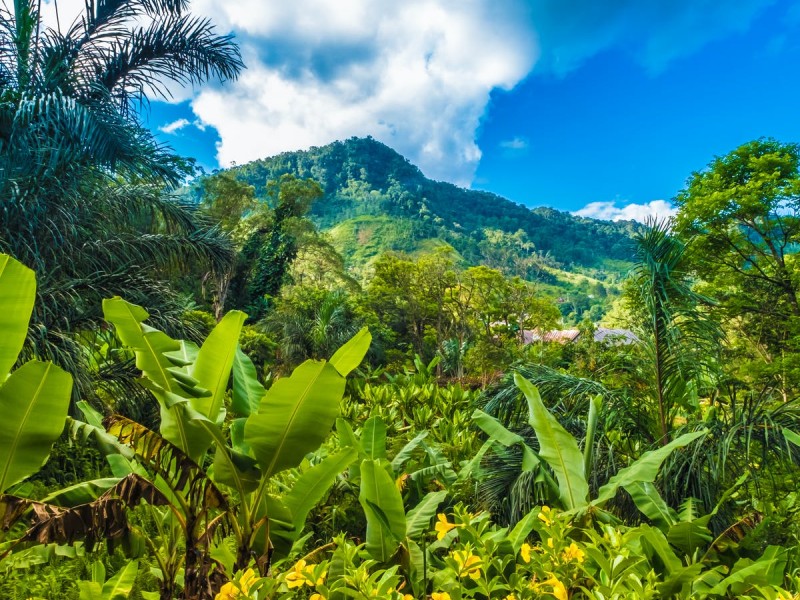 Ciudades emiten el 70% de dióxido de Carbono