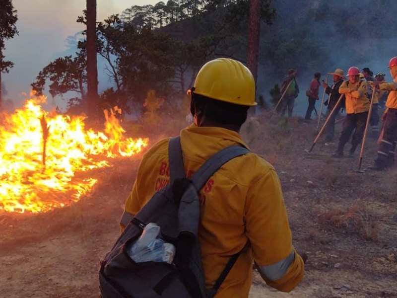 Claman ayuda por incendio que acecha El Calvario, en Chilpancingo