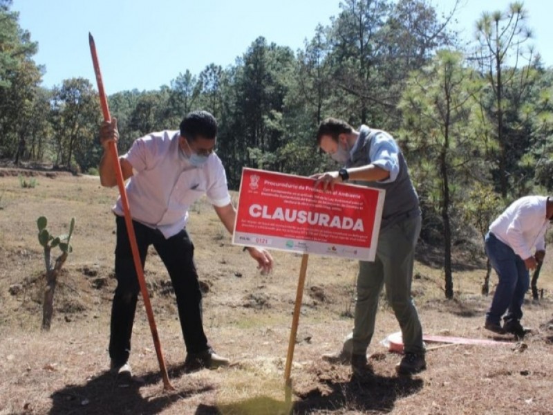 Clausura ProAm Fraccionamiento Campestre Puerta del Bosque