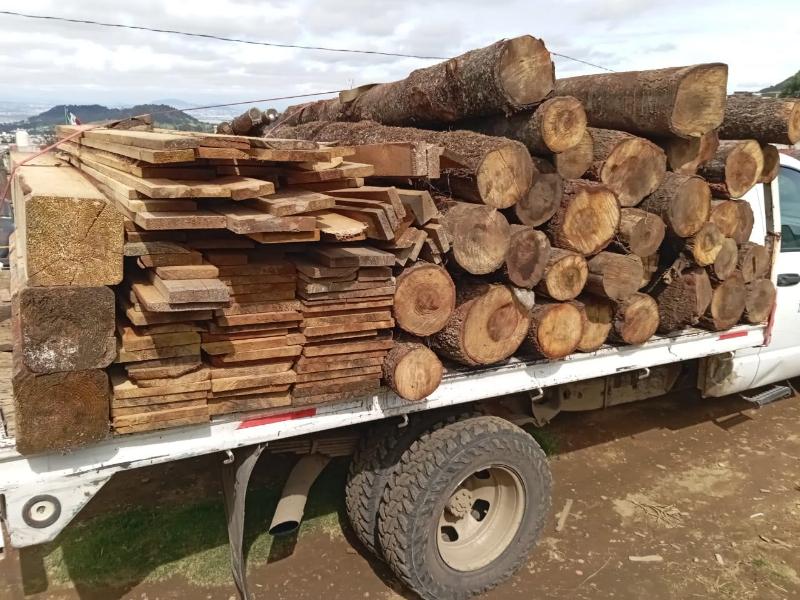 Clausuran aserradero clandestino y aseguran madera en Xalatlaco