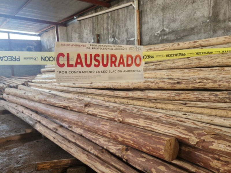 Clausuran centros de almacenamiento de madera en Chiapas