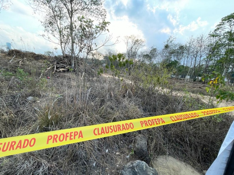 Clausuran obra de construcción de plaza comercial en Xalapa