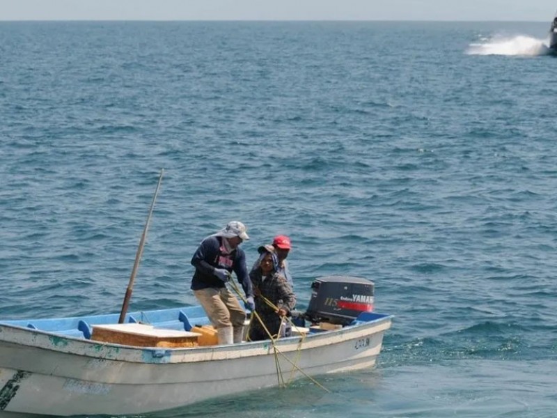 Clima no favorece pesca del camarón, continúan las bajas capturas