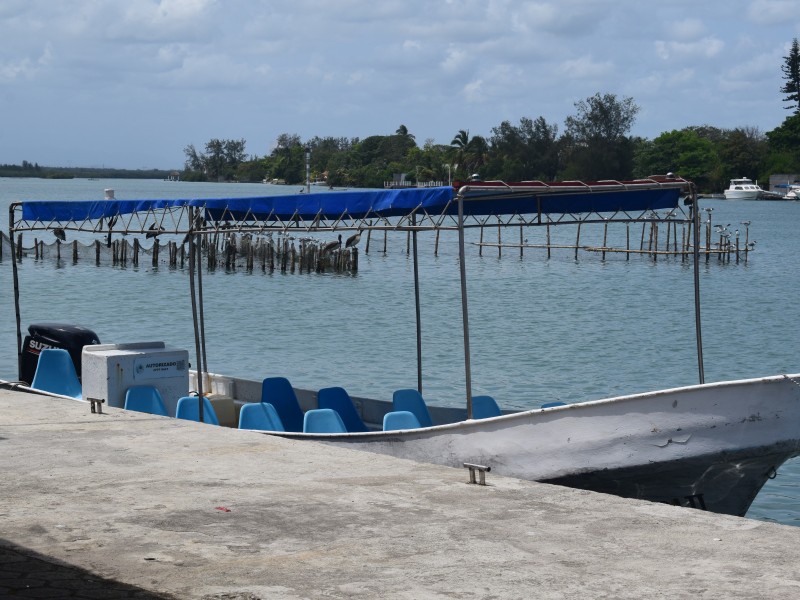 Clima no ha favorecido viajes a Isla Lobos