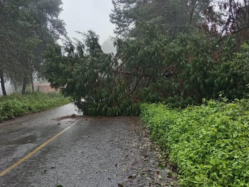 Clima sigue causando daños en las comunidades de Coyomeapan