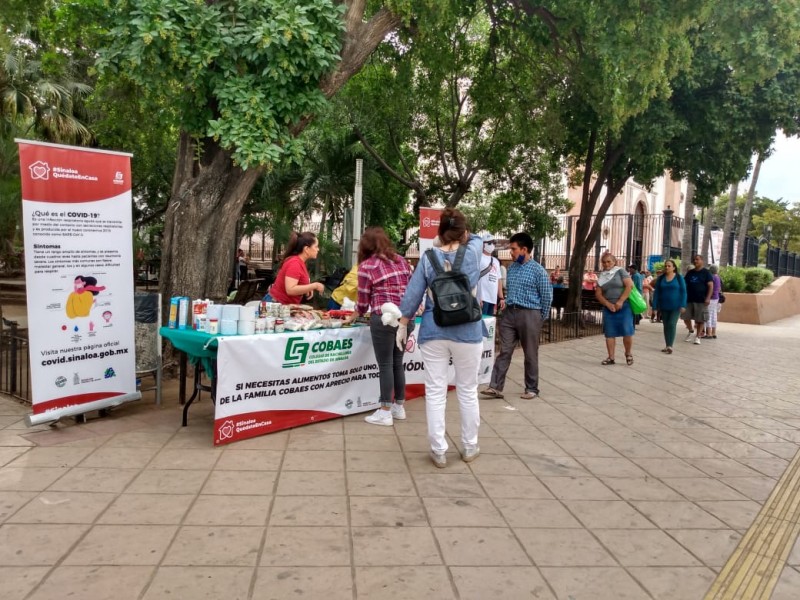 Cobaes apoya a las familias sinaloenses afectadas por la pandemia