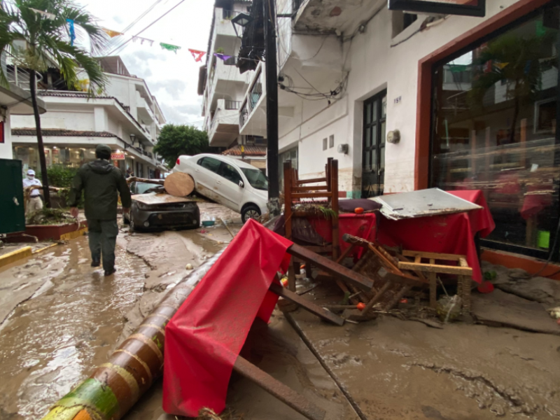 Cobra Nora primera víctima en Jalisco