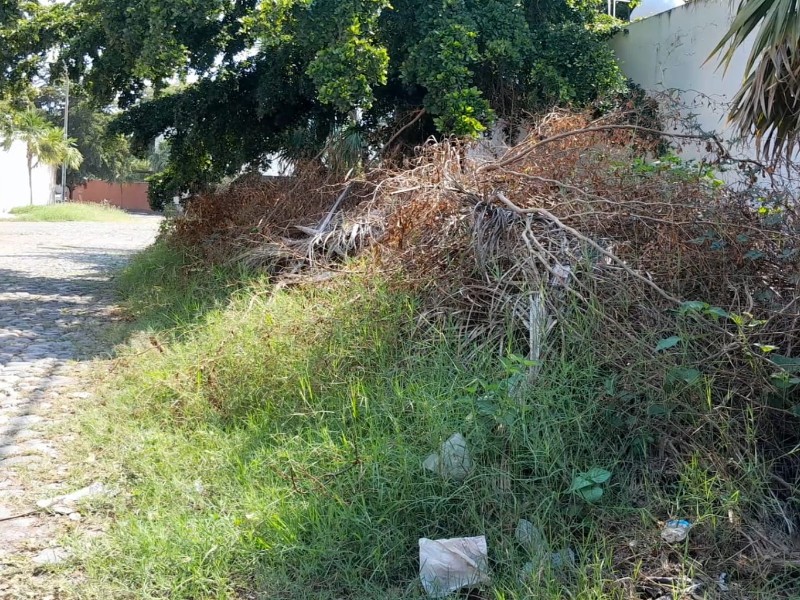 Cochinero en calles de Villas del Sur por acumulación de ramas