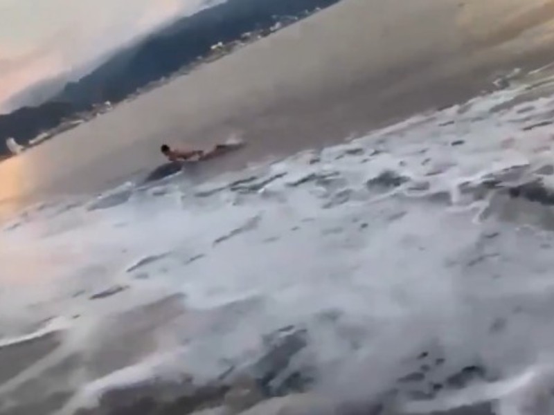 Cocodrilo intenta atacar a bañista en playa de Puerto Vallarta