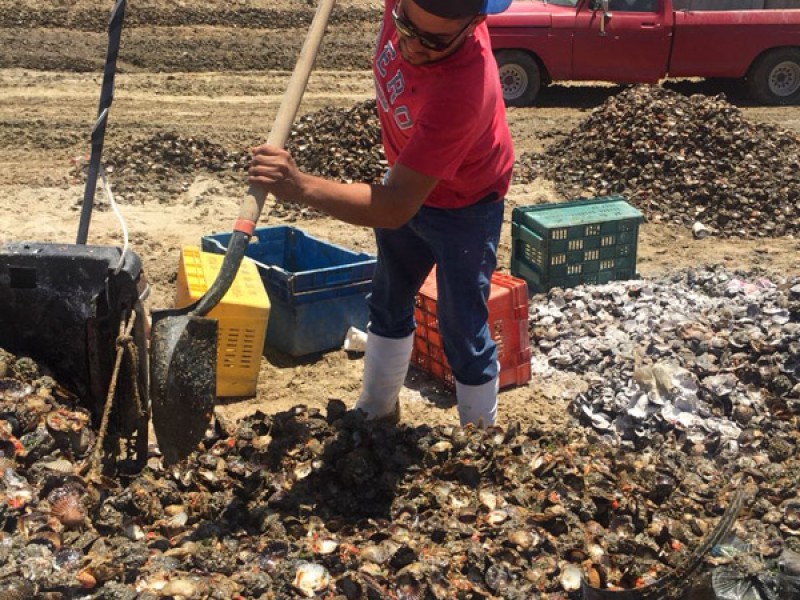 COEPRIS vigila pesca de almeja