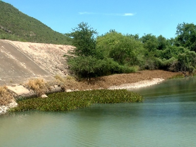 COEPRISS monitorea calidad del agua del Río Fuerte