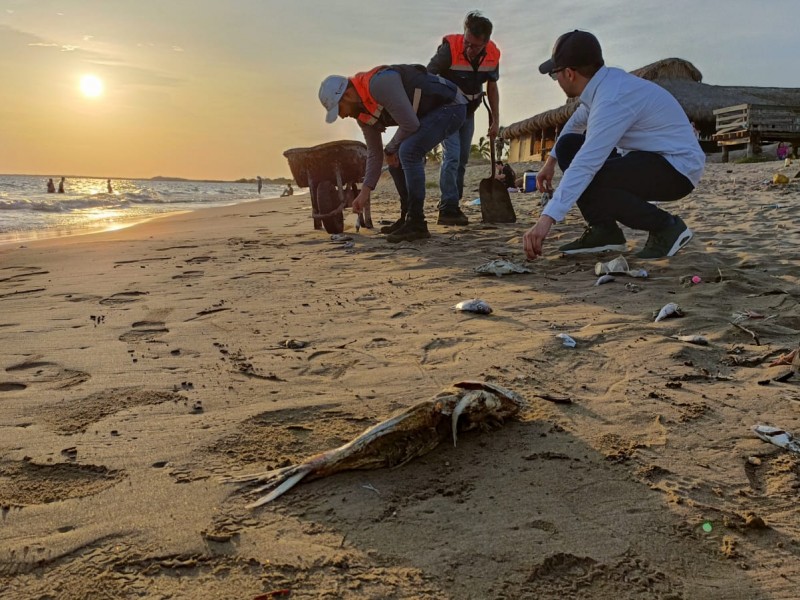 COEPRISS retira peces muertos de El Maviri