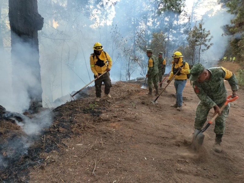 COESFO combate incendio forestal en agencia de Asunción Mixtepec
