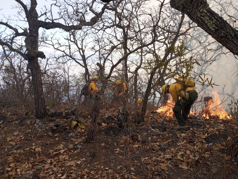 COESFO controla y liquida cinco incendios en Oaxaca