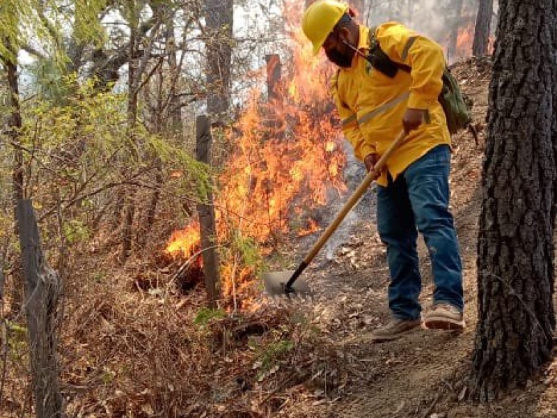 COESFO declara controlado incendio de Lachiguiri; autoridades municipales realizarán monitoreo