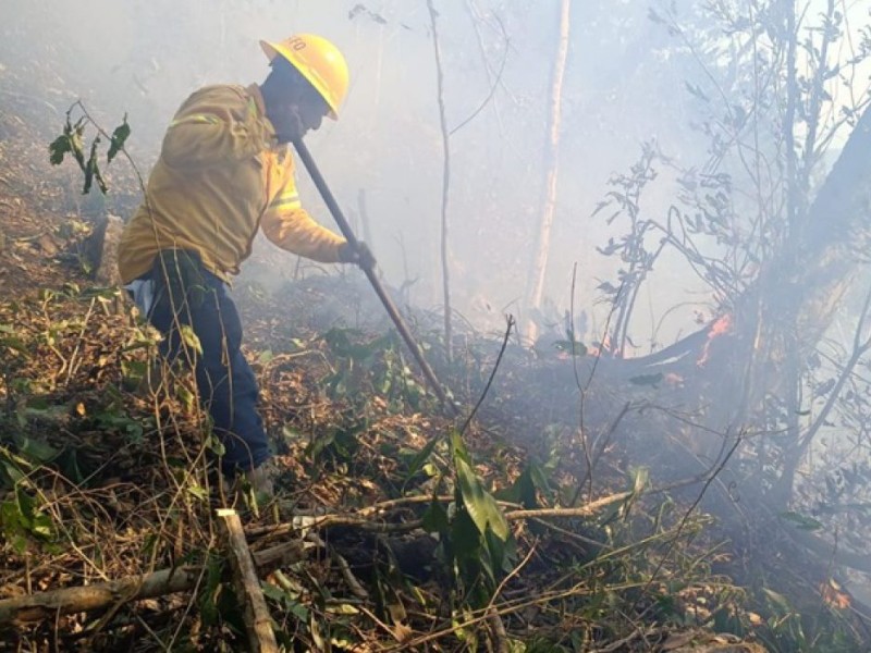 Coesfo informa control de incendios en Tonameca y Tilantongo, Oaxaca