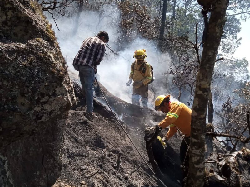 Coesfo logra controlar incendio forestal en San Lorenzo Albarradas, Oaxaca