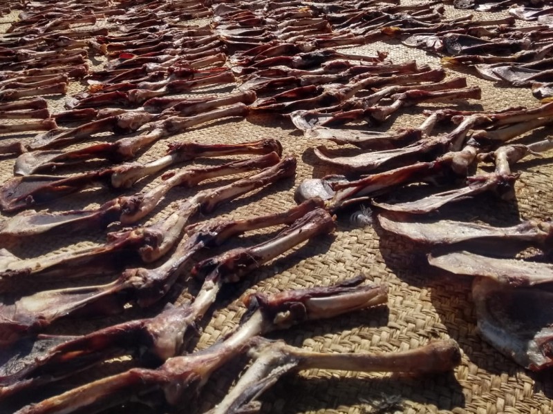 Cofepris vigilara la venta de carne de matanza