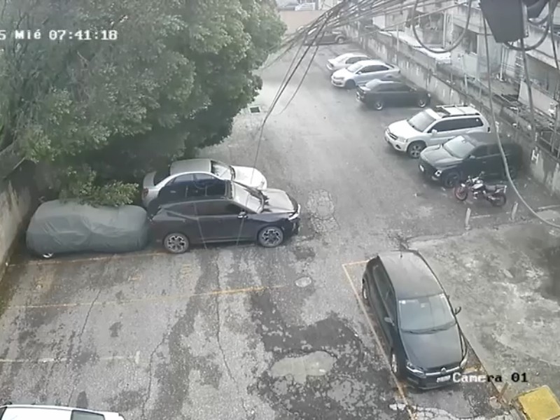 Colapsa árbol y cae sobre tres autos en Coacalco