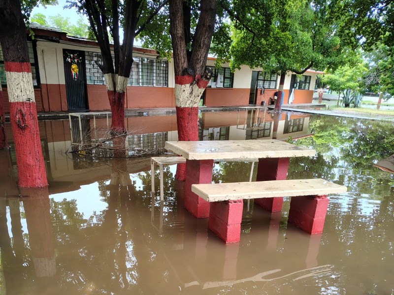 Colapsan 17 escuelas en Ahome tras lluvias: inundaciones, plagas y apagones