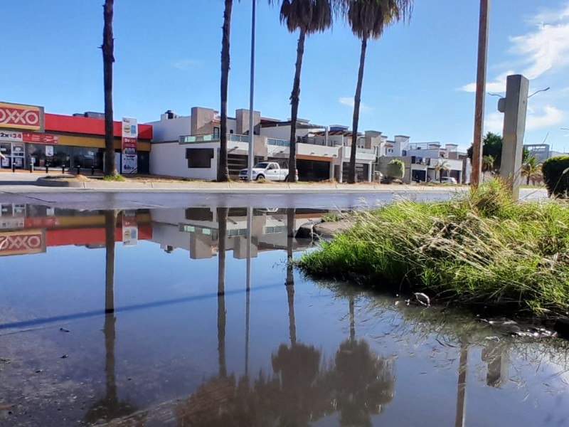 Colapso de la red de drenaje: crisis sin solución en Los Mochis