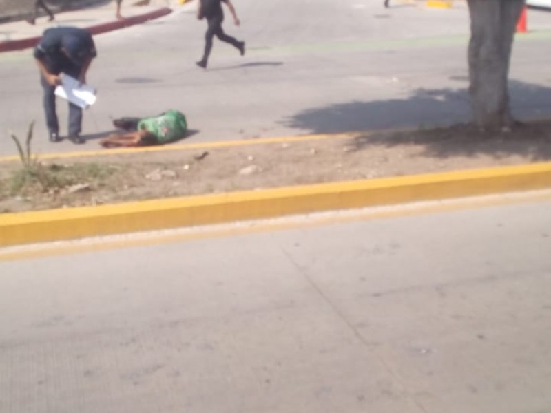 Colectivo atropella y mata a hombre en TGZ