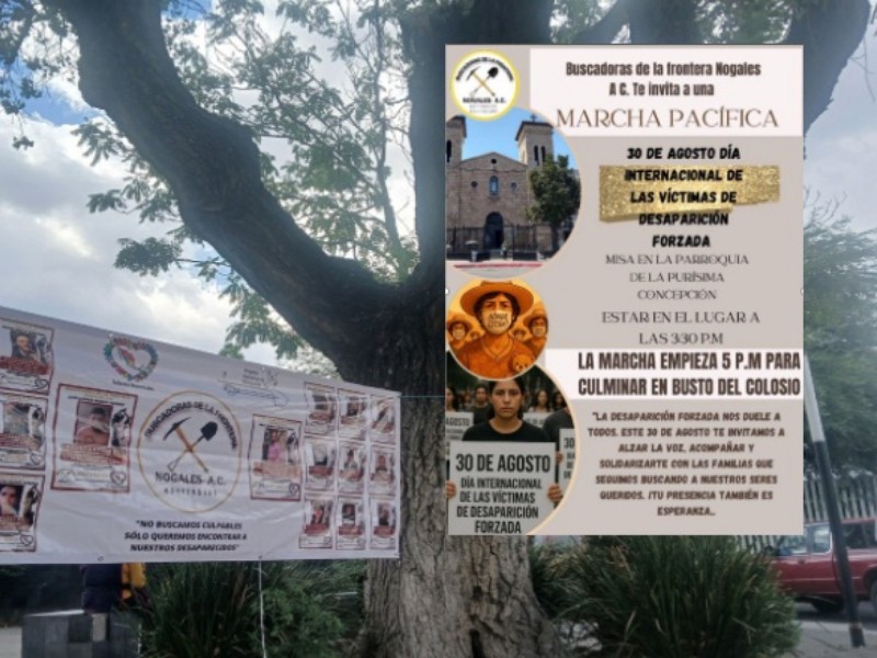 Colectivo 