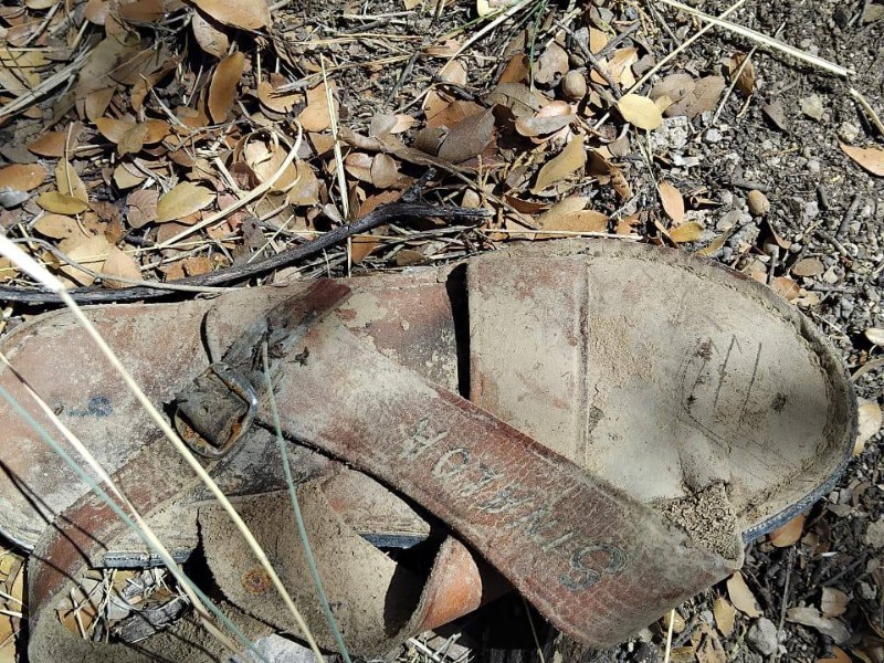 Colectivo Buscadoras de la Frontera encuentra restos óseos