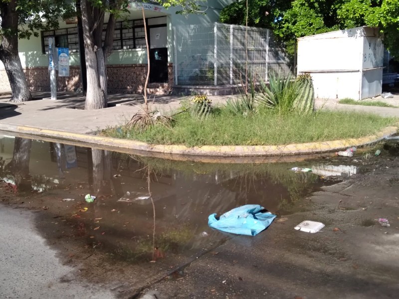 Colectivo ciudadano llama a no descuidar la ciudad