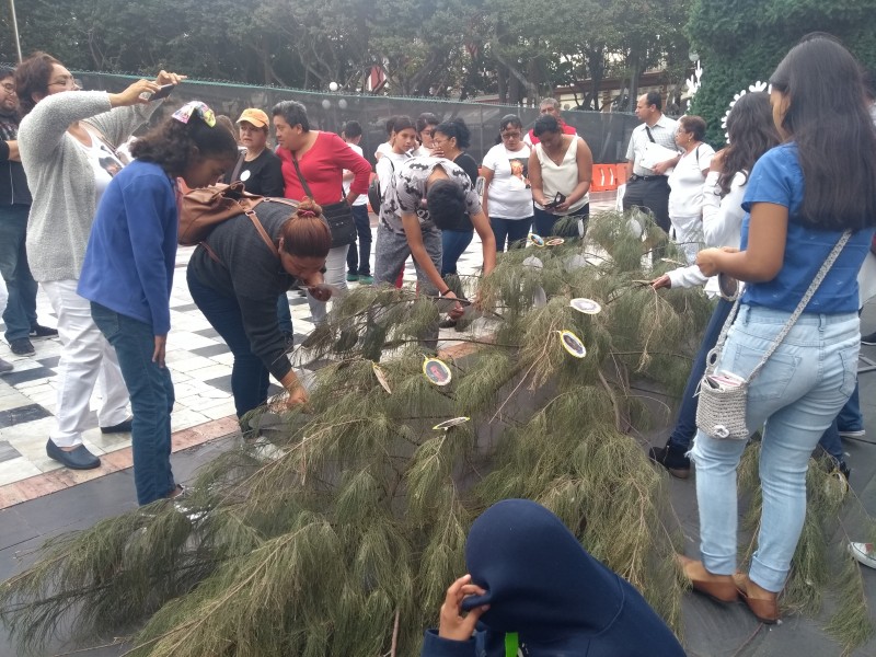 Colectivo coloca árbol del dolor en zócalo