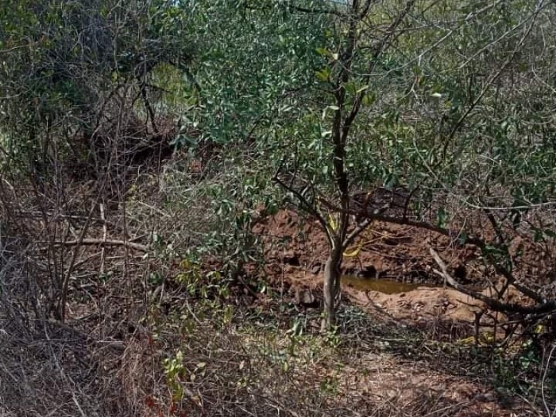 Colectivo de búsqueda de desaparecidos encuentran terreno positivo en Santiago