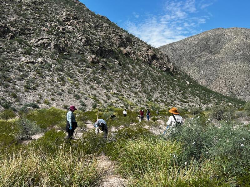 Colectivo encuentra más restos humanos durante búsqueda en Matamoros