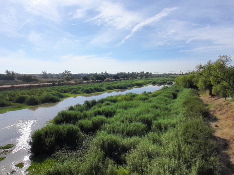 Colectivo presenta proyecto ciudadano para modernizar a Guasave