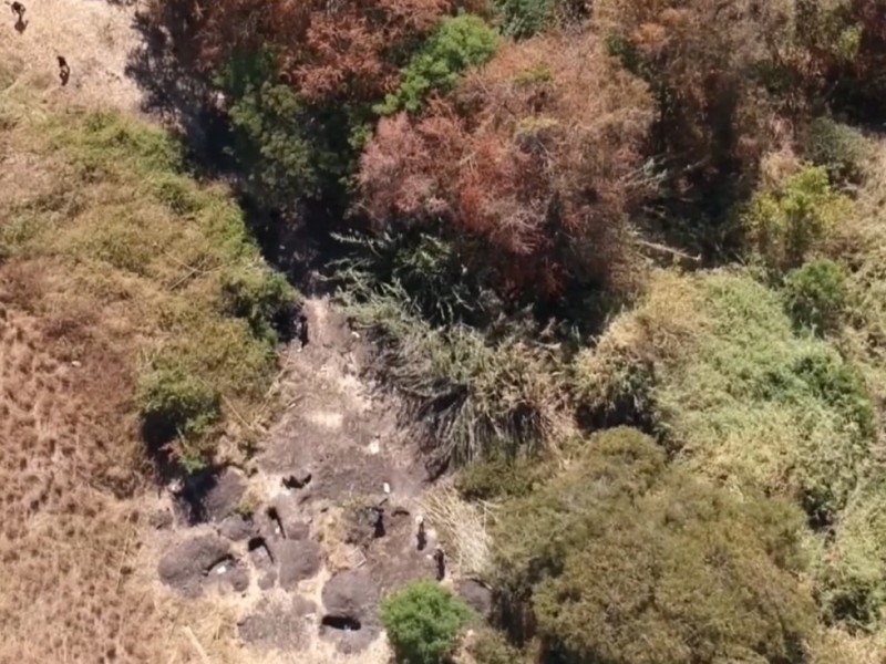 Colectivos de búsqueda encontraron fosa en la Barranca de Venaderos