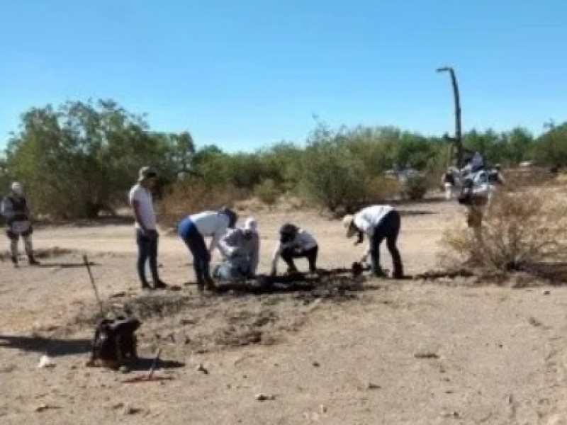 Colectivos de Búsqueda encuentran 5 cuerpos en tierra yaqui