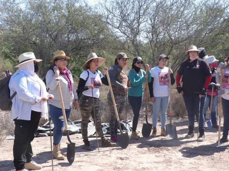 Colectivos de búsqueda necesitan de SEDENA Y GN para trabajar