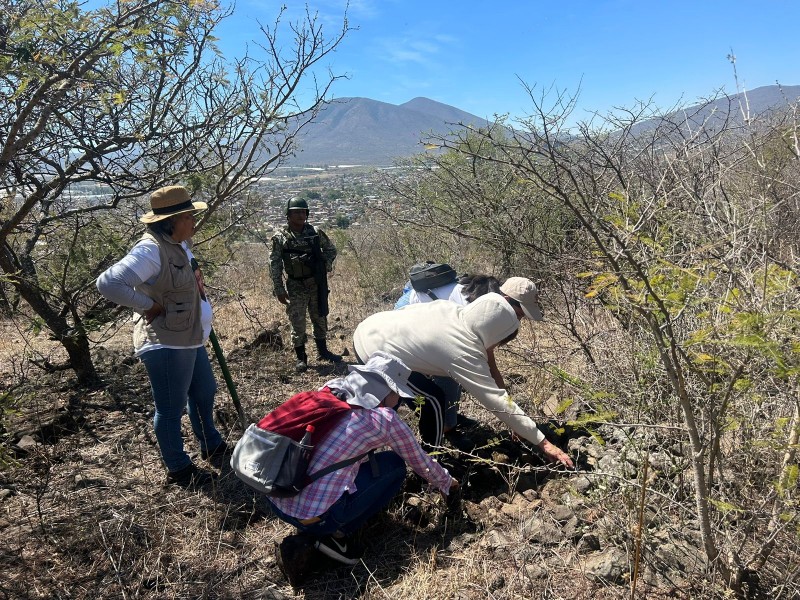 Localizan 5 osamentas en fosas clandestinas, colectivos piden seguridad