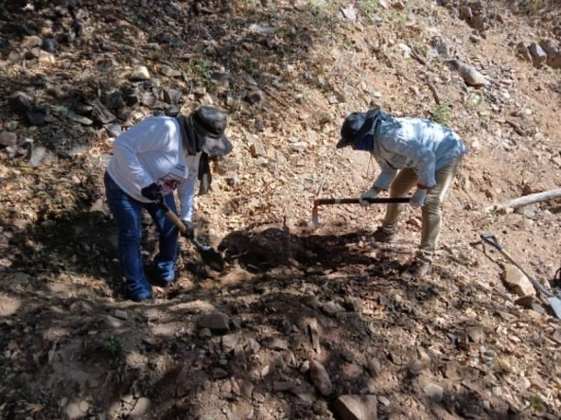 Colectivos encuentran siete osamentas durante búsquedas en la zona de Mariposa