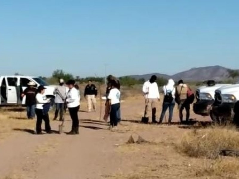 Colectivos inician búsqueda en San José