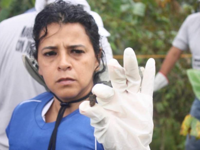 Colectivos piden resguardo de fosa en Ixtaczoquitlán
