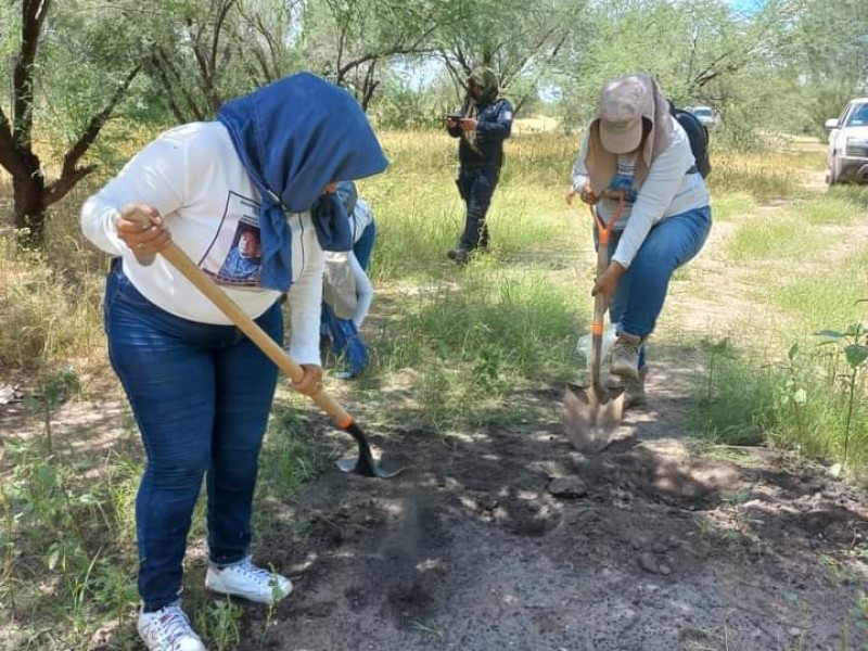 Colectivos volverán a subir fotos para identificación de cuerpos