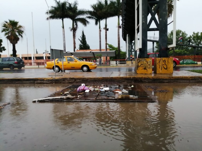 Colector pluvial tecnológico opera funcionalmente: CEA