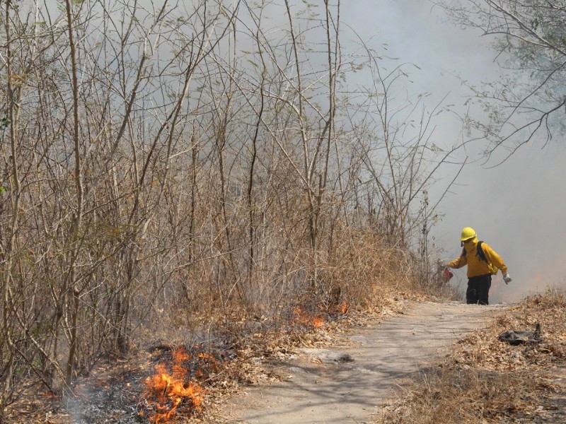 Colima 4to estado con menos incendios forestales