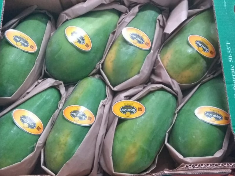 Colima el principal exportador de papaya a EU