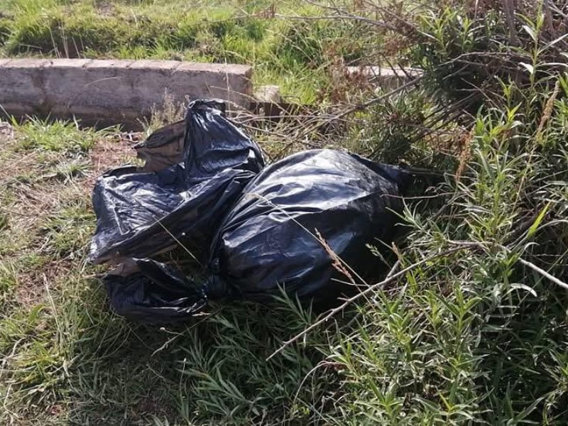 Colima, entre cuerpos descuartizados y fallida estrategia de seguridad