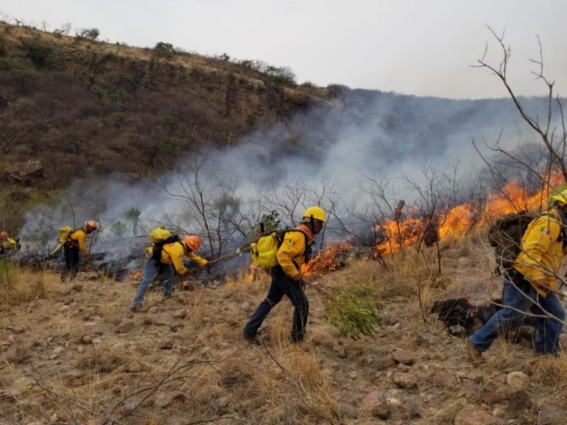Colima: Incendios forestales superan cifra histórica 2023, ya suman 51