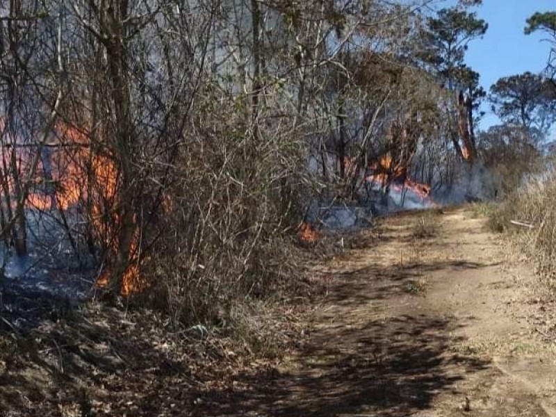 Colima suma 68 incendios forestales este año