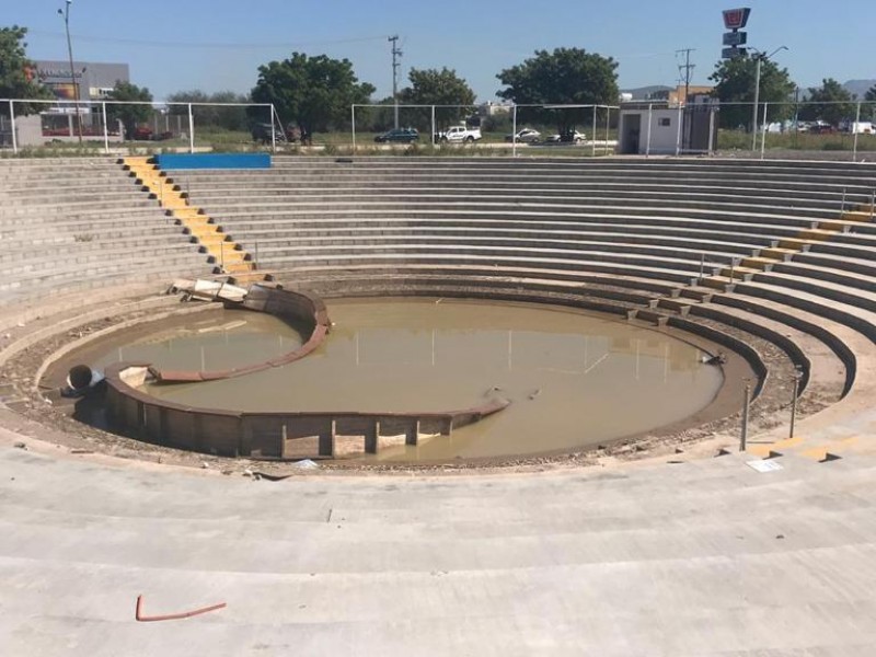 Coliseo de mosquitos es un foco de infección